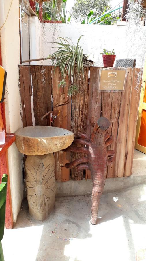 ホテルCabanas El Rincon Paisa ヘリコ エクステリア 写真